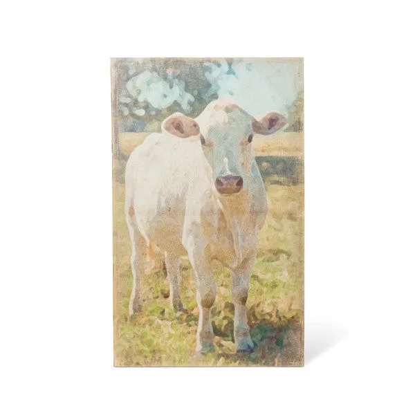 Charolais Calf Cow Canvas Print